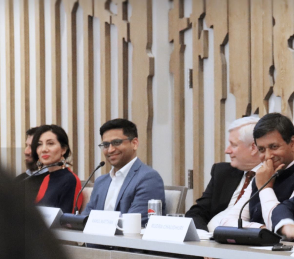 Sara Ahmadian on a policy panel